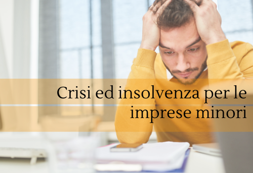 Il Codice della crisi e dell’insolvenza per le imprese minori.